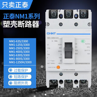 正泰（CHNT）塑壳断路器NM1-125S/100A160A200A400A塑料外壳空气开关3P/4P 250A 4p