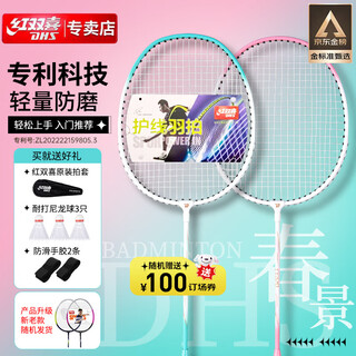红双喜(DHS)羽毛球拍对拍套装含球训练比赛成人儿童学生防磨羽拍2支双拍 红双喜(DHS)羽毛球拍对拍套装含球训练比赛成人儿童学生防磨羽拍2支双拍