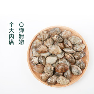 Fresh large clams 300g (18-26 capsules)