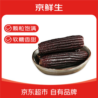 Jingxiansheng & black bear chuck black corn 200g*8 sticks fresh sweet waxy corn on the stick vacuum packaging straight from the source