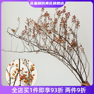 Wen shi ou shan return natural plant dried flower bouquet living room decoration wabi-sabi wind flower arrangement dry branches decorative ornaments dry branches fine orange mountain return 5 dried flowers 100-11