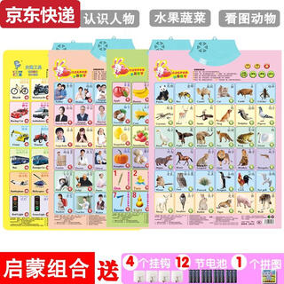 两雪有声挂图拼音儿童启蒙早教认知发声墙贴宝宝语音识字卡0-6岁玩具 交通+人物+水果+动物