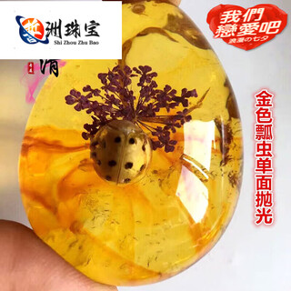 Keying insect specimens amber scorpion spider necklace butterfly pendant cicada insect amber raw stone children's gift elementary school ladybug single-sided polished pendant + rope