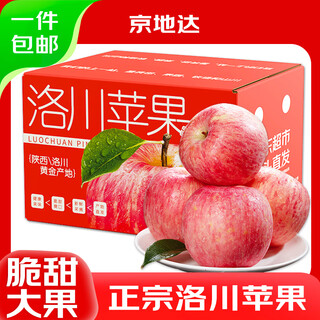 Jingdi dalochuan apple net weight 8.5jin jin is equal to 0.5kg single fruit 250g + shaanxi red fuji apple fruit straight from the source