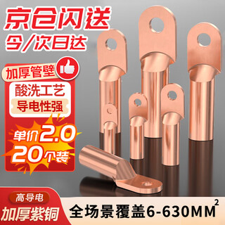 Beifote copper nose wire nose 6 square dt cold-pressed wiring nose copper wire nose copper wire ear terminal block dt-6mm 20 pieces