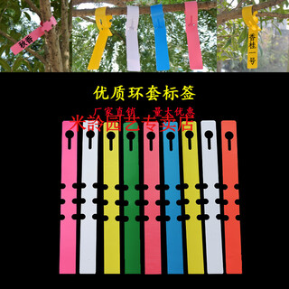 Набор водонепроницаемых колец mijia из ПВХ, этикетка для цветочных растений, этикетка для рассады, садоводства, пластиковая этикетка для орхидеи, кольцо с пряжкой, набор колец - белый (100 листов)