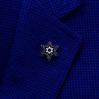 Chishe men's brooch suit brooch platinum-plated navigator polaris gold silver retro lapel pin suit corsage women's silver platinum-plated polaris brooch with self-sealing