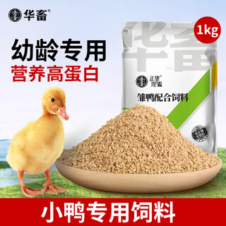 Hua livestock chicken feed large chicken pellet feed rutin egg chicken duck goose special chick opening feed premix 1kg
