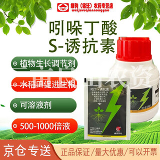 1% indolebutyric acid inducer rice seedling field promotes rooting and vigorous root plant growth regulator
