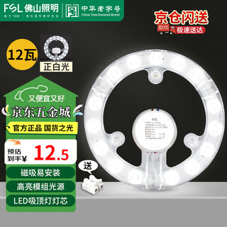 Fsl foshan lighting led ceiling lamp wick modification lamp panel round energy-saving light bar patch replacement lamp panel light source module 12w white light