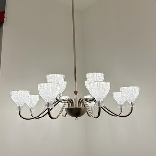 
Opp Lighting; OPPLE2025 new past lighting 9227 high-end solid modern living room dining room chandeliers minimalist aluminum warm light bag 12 heads living room three-color unlimited remote control