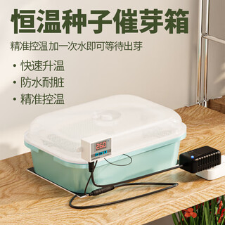 Rsrddyxj seed germination box electronic intelligent germination machine incubator constant temperature seedling box temperature control temperature difference bean bean germination box