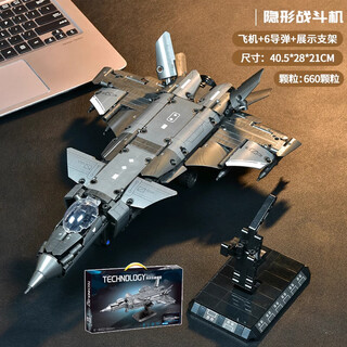 乐高（LEGO）新款中国战斗机直升机拼装积木军事飞机模型儿童玩具 20隐形战斗机【6导弹+展示支架+