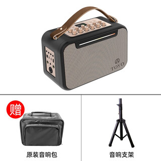 Toyo t6 musical instrument guitar audio playing and singing karaoke inner recording box electric blowpipe saxophone bluetooth live broadcast black + bag + stand