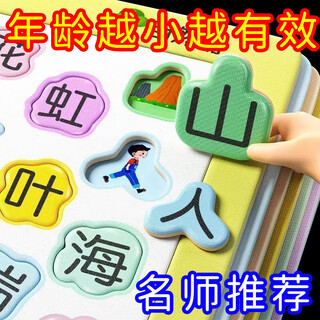 秘浓幼儿童启蒙早教识字拼图拼音拼图宝宝小男孩玩具识字卡片玩具 升新款适合2-6岁宝宝 大字图版【253图+253字】八本套