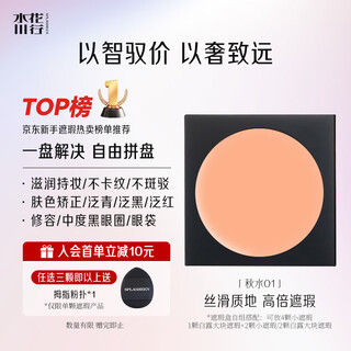 Splasheen qiu shui 01 concealer beauty makeup makeup base salmon color moisturizing non-sticking winter goods recommended