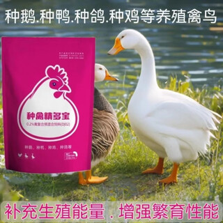 Chicken brand chicken breeder, duck breeder, goose breeder, pigeon breeder, egg-increasing parrot to increase fertilization rate, bird-specific vitamin premix white egg, 500g breeder bird essence duobao 3 bags, discount pack