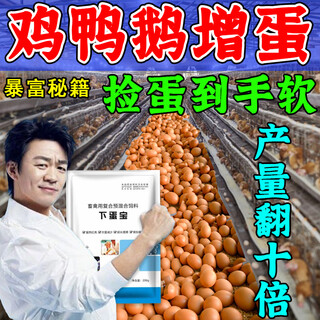 More eggs, more eggs, more eggs, more eggs, more eggs, chickens, ducks and geese lay eggs, produce eggs, encourage eggs, change egg quality, feed additives, special for egg production, 90% of users choose 3 packages, buy two and get one free