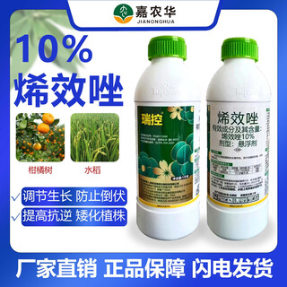 Ruikong 10% uniconazole citrus shoot controlling rice regulates growth, improves stress resistance, enhances light and efficiency suspension agent ruikong 100g*50 bottles