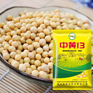 Thousand jin jin is equal to 0.5 kilograms. bean and soybean seeds can be sown in spring soybean seeds and summer soybean grain seeds in field bases. zhonghuang 13 soybean seeds 1 jin jin is equal to 0.5 kilograms (national bean examination 20010