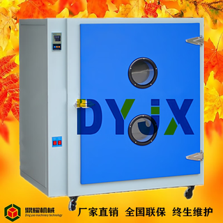 Wen yijia customized large constant temperature oven industrial blast electric oven 300 degree high temperature test chamber experimental aging drying oven 6