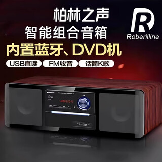 ROBERILLINE德国柏林之声蓝牙音箱家用DVD一体机高音质大音量便携式麦克风K歌音响 黑色