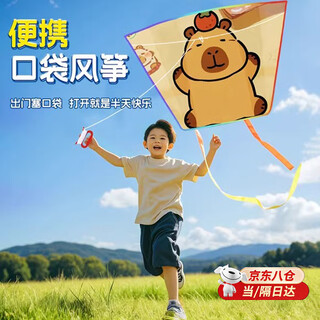 儿童口袋便携风筝无骨折叠3-6岁卡皮巴拉宝宝手持小风筝户外玩具 卡皮巴拉口袋风筝 【送100米彩线板+连接器】