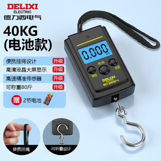 Delixi electric portable scale electronic scale portable scale spring scale gram scale weighing vegetables express crane scale high-precision luggage scale battery model 40kg - with battery