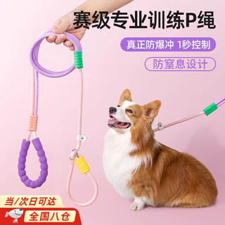 Juke p rope, medium-sized dog rope, large dog golden retriever leash, border collie dog rope, explosion-proof charging shiba inu training rope, corgi, gradient purple, double-section thickened p rope, explosion-proof charging