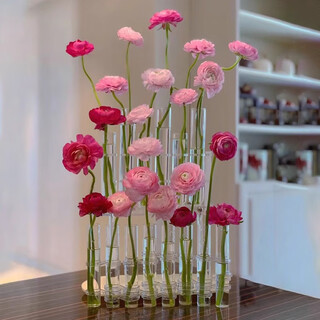 Xinnan test tube vase folding glass internet celebrity ins hydroponic flower device transparent row of vases flower ornaments high and low models high and low test tube vases eight packs