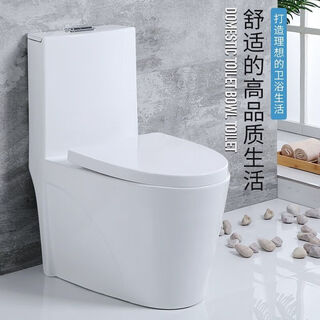 Home hotel bathroom toilet super swirl toilet 250350 pit distance squatting pit toilet guangdong ceramics 300 pit distance