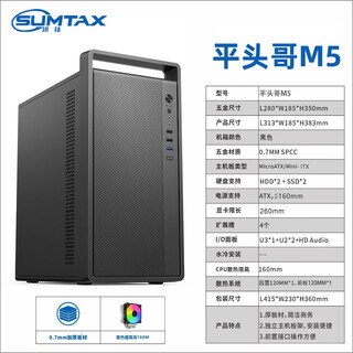 EVESKY积至 扬天M3 迷你小机箱办公家用电脑机箱（拉丝工艺面板/支持M-ATX中小主板/手提便携提手/背线） 平头哥M5-黑色