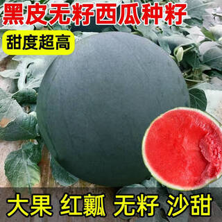 Qizhe seedless watermelon seeds with black skin and red flesh, extra large lazy super sweet giant seedless watermelon fruit seeds with crack-resistant melon, black skin and seedless watermelon 1 pack (40 pieces)