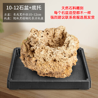 Stone flowerpot absorbent stone water-absorbing stone original stone natural flowerpot with asparagus bamboo and calamus succulents micro landscape pot 10-12cm stone pot + tempered rectangular holder