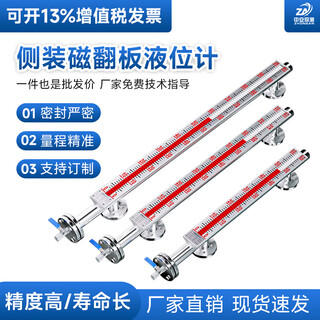 Zhongan detection magnetic flip plate liquid level meter water level oil level meter corrosion-resistant with remote transmission side-mounted top-mounted liquid level meter 2 meters 304 material dn25