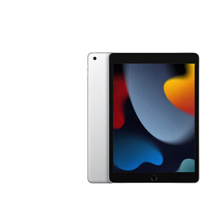 Apple ipad 9th generation 2021 second-hand tablet silver 256g