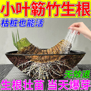 Rooting powder, universal plant rooting agent, fruit tree transplanting rooting agent, cutting nutrient solution, flower fertilizer, rapid rooting solution, buy 3 get 2 free, powerful rooting powder, universal type, 5 bags