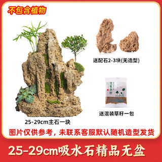 High-quality water-absorbing stone bonsai fish pond rockery micro-landscape decoration natural rockery stone landscaping raw stone high-quality 25-29cm water-absorbing stone without basin