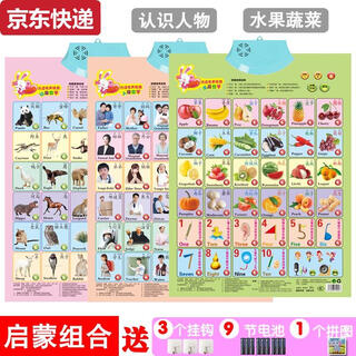 两雪有声挂图拼音儿童启蒙早教认知发声墙贴宝宝语音识字卡0-6岁玩具 启蒙组合水果+动物+人物