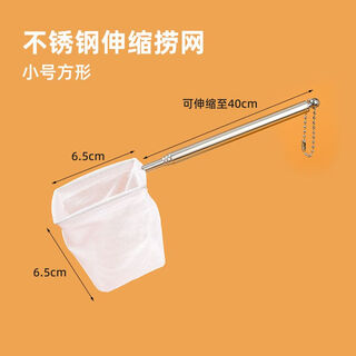 Pamper the fish, fish tank net, small fish, small 3d fishing net, pocket dense net, hand-copied fish net, tropical ornamental fish, xiaofang