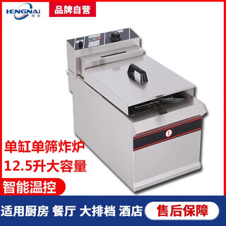 Rsrddy903 commercial electric fryer electric fryer thickened fryer single cylinder single screen large capacity burger shop fried chicken and fries machine 1 inch fried chicken and fries machine