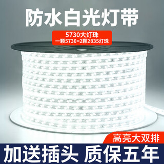 Fanyao outdoor waterproof light strip led super bright light strip 220v special engineering high voltage light strip for living room exterior wall 120 beads-white light-20 meters