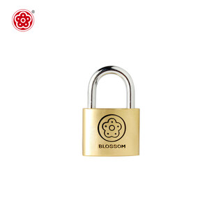 Blossom yayuan copper padlock 25mm drawer lock luggage lock dormitory cabinet door lock bc9025