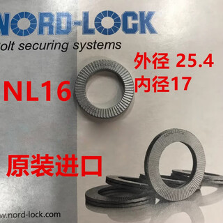 Construction anti-loosening washer imported nord-lock wedge washer nl3-nl42 nlss stainless steel nl16 inner diameter 17 outer diameter 25.4 thick 3.4