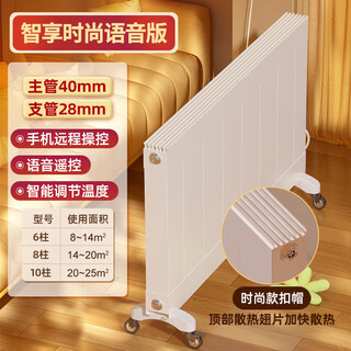 St. lawrence water-injection electric radiator energy-saving electric heater plus water electric heater household water heating radiator smart fashion voice edition 6 columns 0.6m