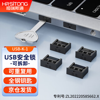 Hengrui stone usb port security lock 304 steel key removable to prevent information leakage physical anti-theft dustproof and moisture-proof black 10 locks + 1 key
