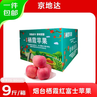 Jingdida shandong yantai qixia red fuji apple 85 grade 9jin jin is equal to 0.5 kg large fruit selected yantai apple fruit directly from the source