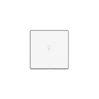 Long qiaohua intelligent lighting control panel (single on and single fire) v1-nd1