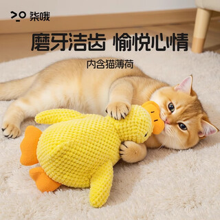Qi oh cat toy mint duck self-happiness and relief from boredom cat toy resistant to chewing and molar rattle paper sound plush pet cat funny stick trumpet sound mint duck
