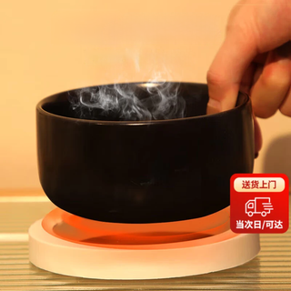智宙 酸奶机猫咪恒温饮水机加热水碗陶瓷宠物用品猫喝水保温碗饮水器 陶瓷单碗 395ML